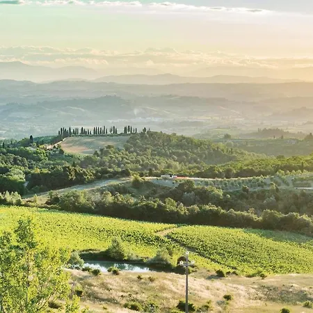 Andrea-podere Moricci *