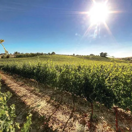 Andrea-podere Moricci Holiday home *